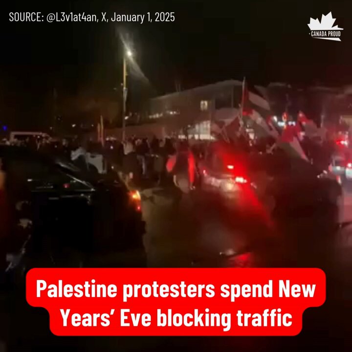 Sorry Toronto. You can't have a fun New Years' Eve because the Palestine people say so.