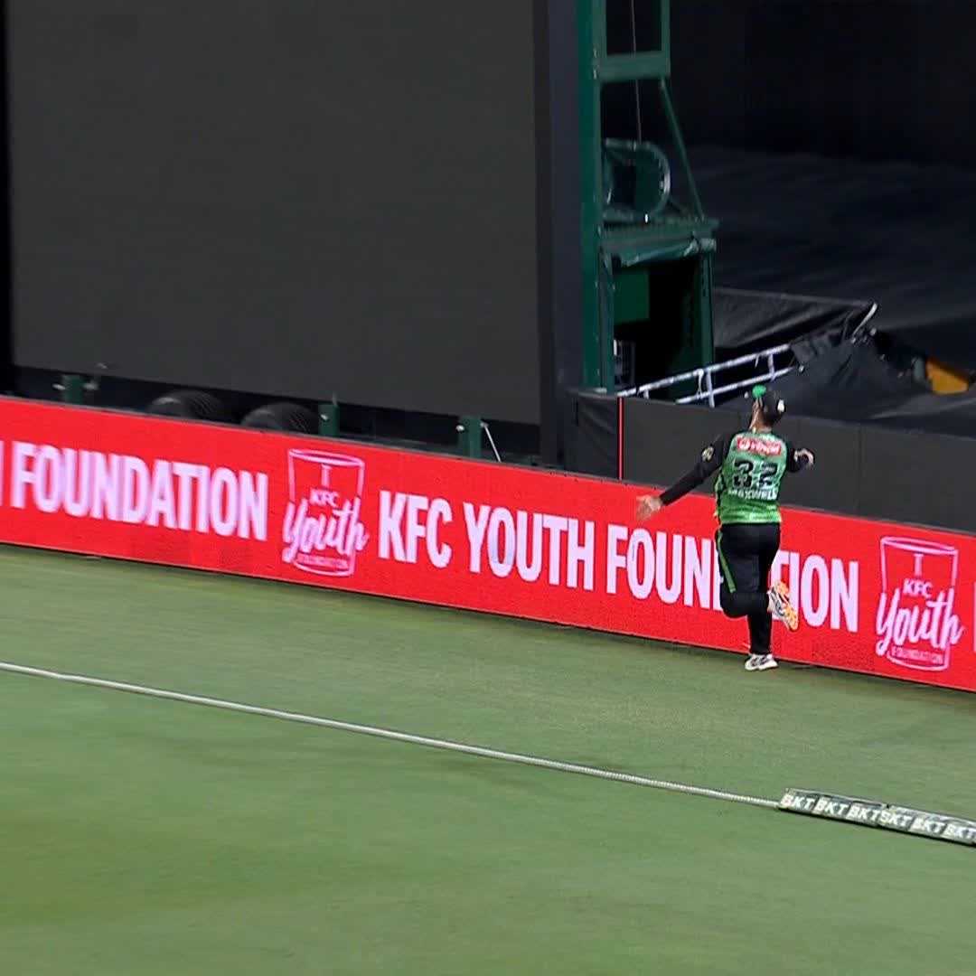 WHAT A CATCH FROM GLENN MAXWELL! 🔥