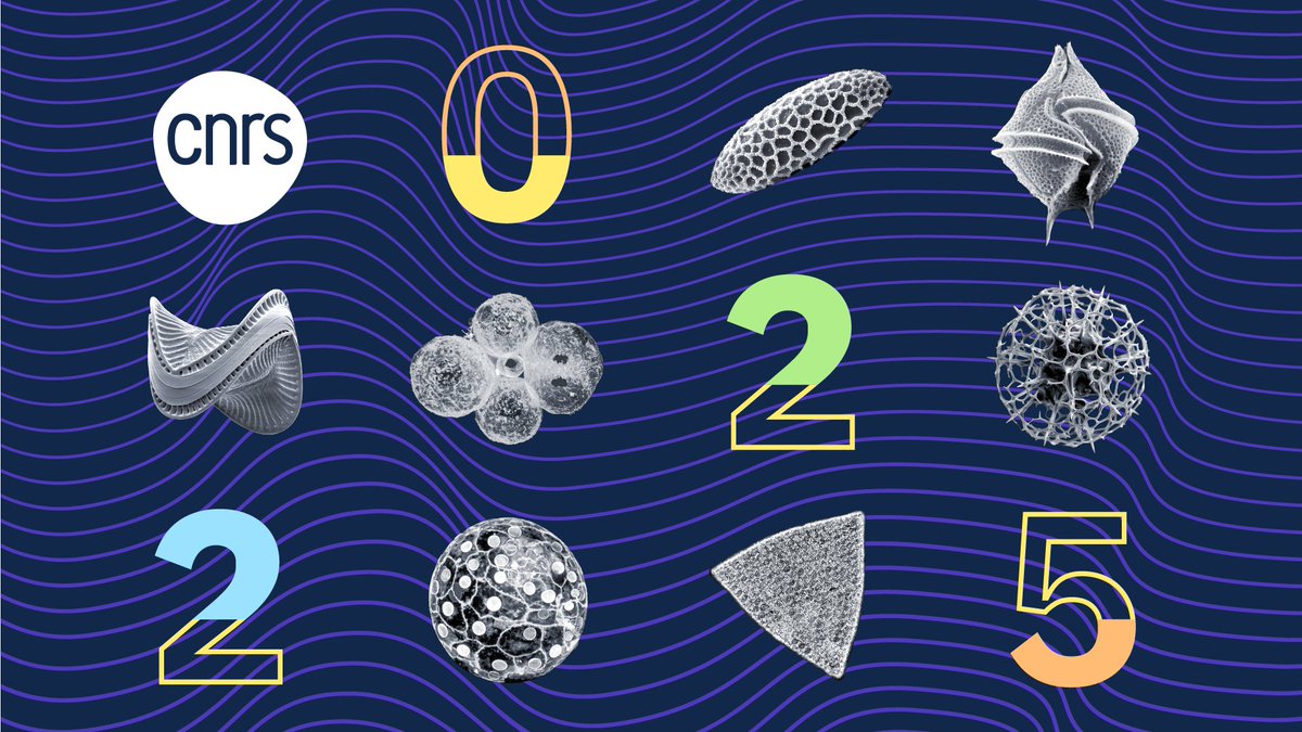 #BonneAnnée 🌟 Le CNRS 🌍 vous présente ses meilleurs vœux pour l'année 2025 ! #HappyNewYear 🌟 The French National Centre for Scientific Research (CNRS 🌍) wishes you the very best for 2025!