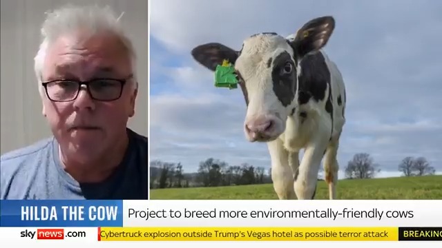 "This is the first calf that's been born and bred expressly for reduced methane emissions in dairy cows." Professor Mike Coffey tells Sky's Leah Boleto why the birth of Hilda, the first calf to be born via IVF, is "a big moment".