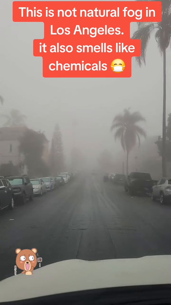 And still people take to social media claiming the weird fog engulfing half of America smells like chemicals. If you dump billions of tonnes of metallic compounds into the atmosphere through SAI - what did you think was going to happen?