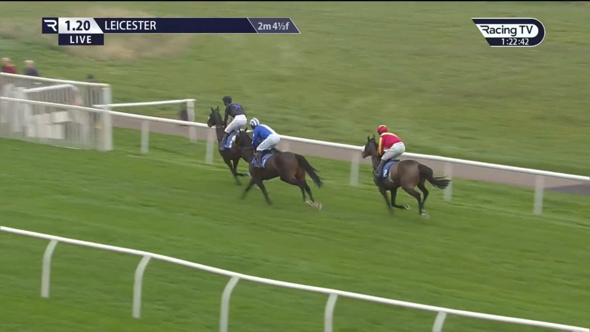 The owner: “How’s his schooling gone?” The trainer: “Oh… he’s a natural..!” The horse: