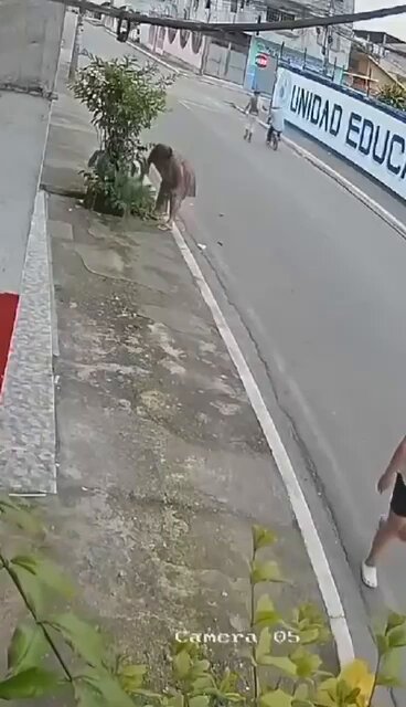 🚨🚨🚨 Atenção cenas fortes… ☠️🏍️Homens são M*rt05 em plena luz do dia porém policia surpreende pistoleiro quase instantaneamente segundos após o crime. Isso que podemos chamar de karma instantâneo🤷