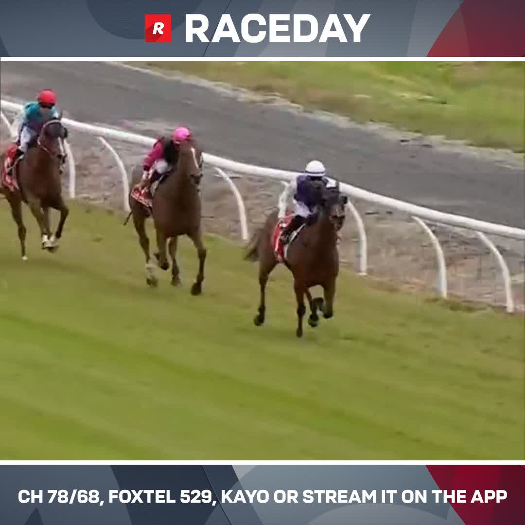 Trak Chiller wins in a procession at Stony Creek! 😱 Reece Goodwin
