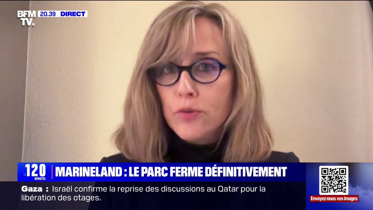 Fermeture de Marineland: "Le monde entier, aujourd'hui, a changé", affirme Muriel Arnal (One Voice)
