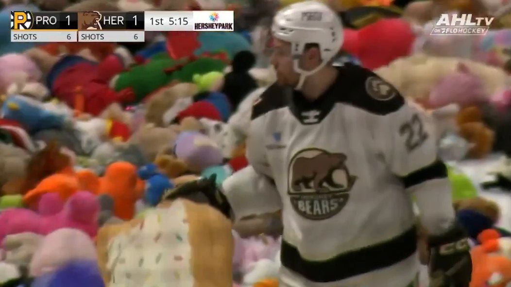 TEDDY BEAR MADNESS 🧸 Nobody does the Teddy Bear Toss quite like how they do it in Hershey! (🎥: Hershey Bears)