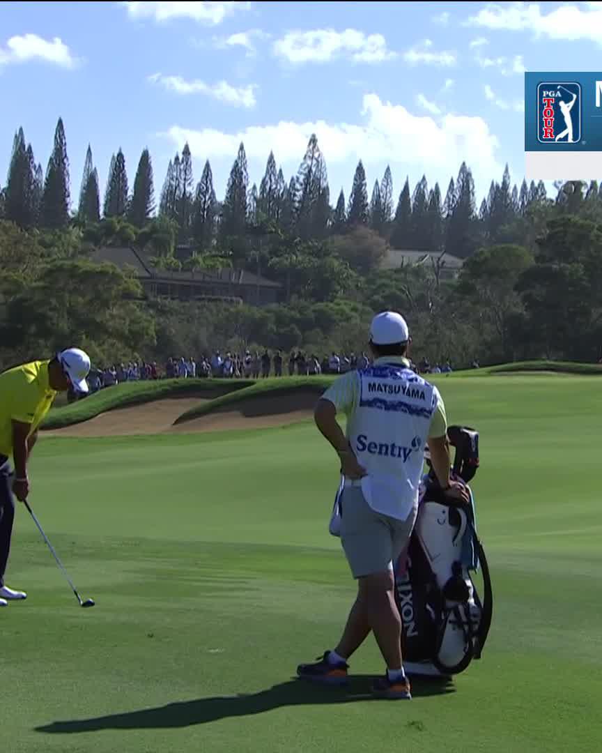 Golf fans unhappy about low scoring at Kapalua again. This reaction baffles me as the players &amp; their equipment are sublime. For context I’m a 4 h’cap &amp; never gone lower than 78 in 6 rounds there (off 2nd from back tees). Motto: These guys are stupid good