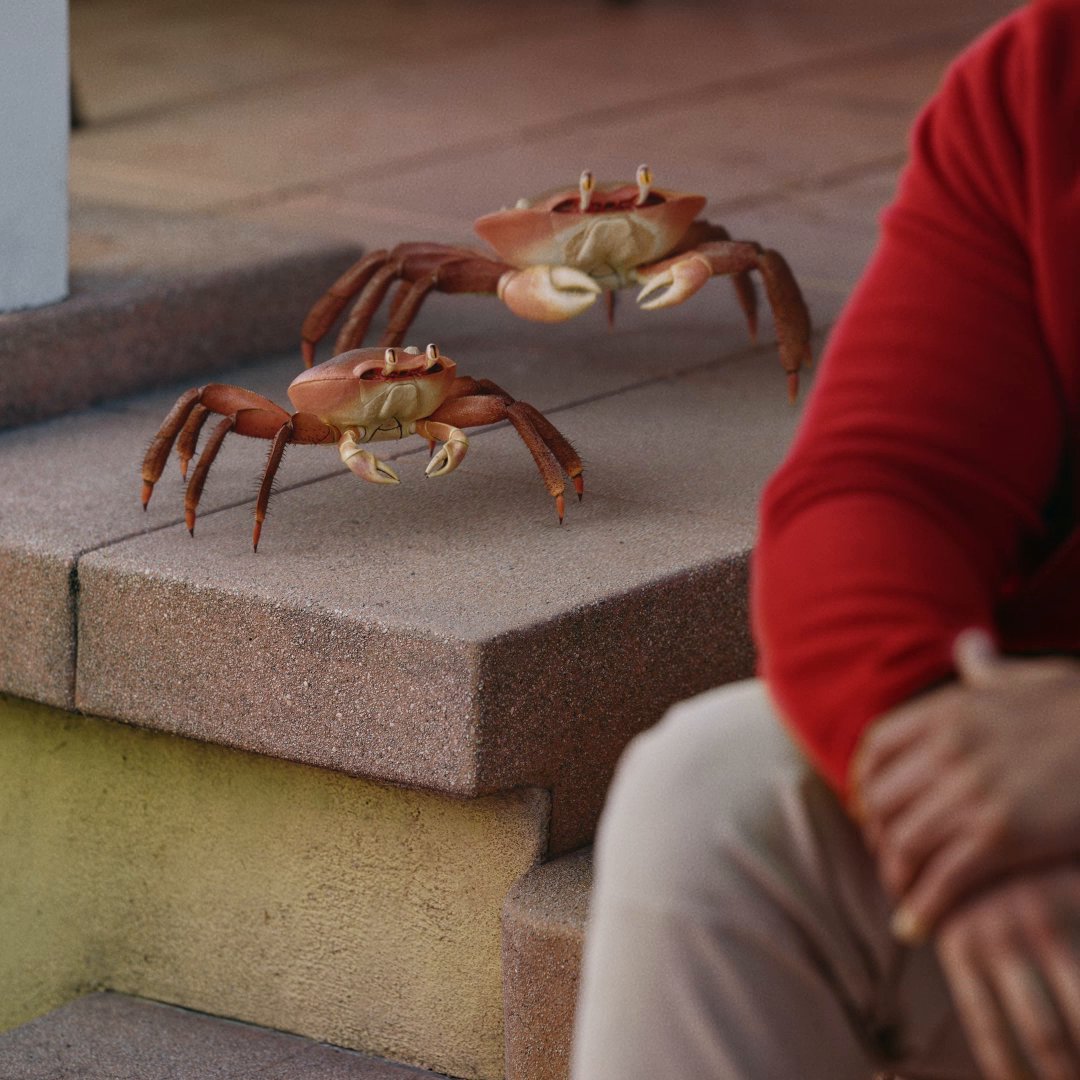 Round of a-claws for Jake.