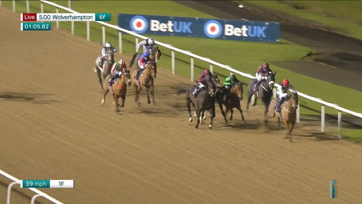 Well backed, seb sanders! 🙌 Royal Musketeer finds a nice position and stretches clear of his rivals to score in the first at Wolverhampton Races under Clifford Lee...