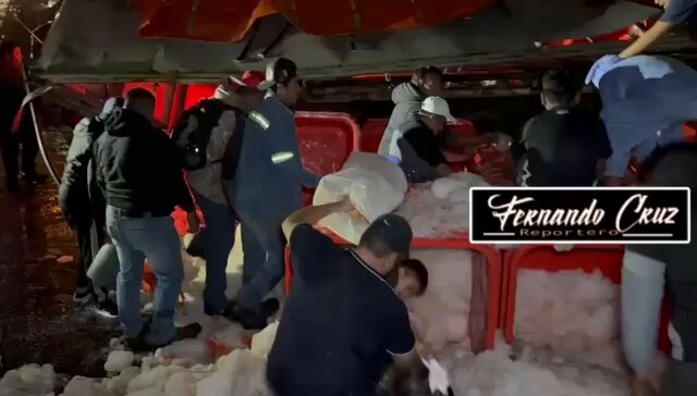 ‼️RAPIÑAN TONELADAS DE POLLO‼️ Tras la volcadura de un tráiler de Bachoco, decenas de habitantes de #Ecatepec se sirvieron con la cuchara grande al vaciar más de 20 toneladas de pollo congelado que era transportado en contenedores.