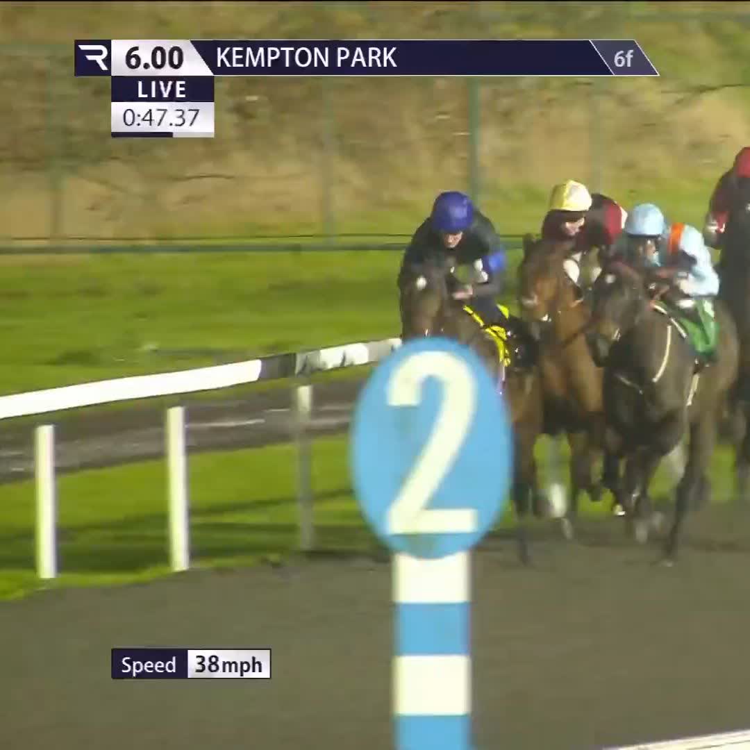 Megaphone (Kodiac) opens his account at the second time of asking George Boughey Racing | Kempton Park Racecourse | Dan Muscutt
