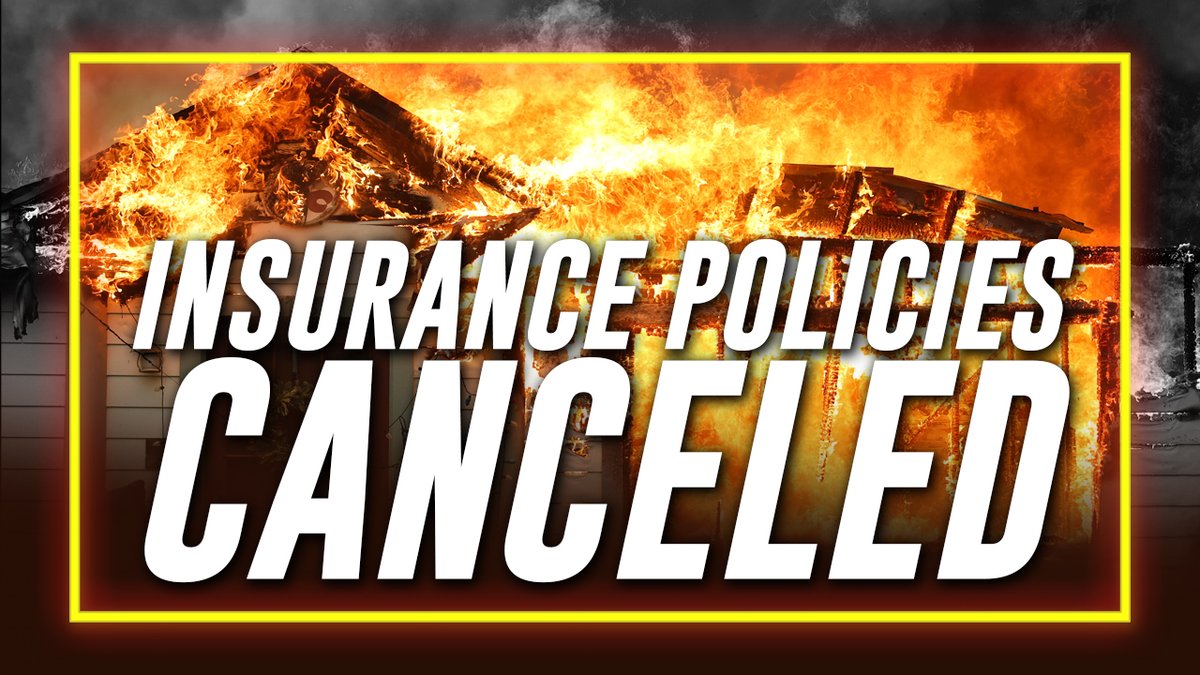 BREAKING: Iconic Actor James Woods Confirms Home Owner Insurance Policies Were Canceled In Masse Months Before The Massive Palisades, LA Neighborhood Was Destroyed By The Historic Firestorm » WATCH/SHARE THE LIVE X STREAM HERE: