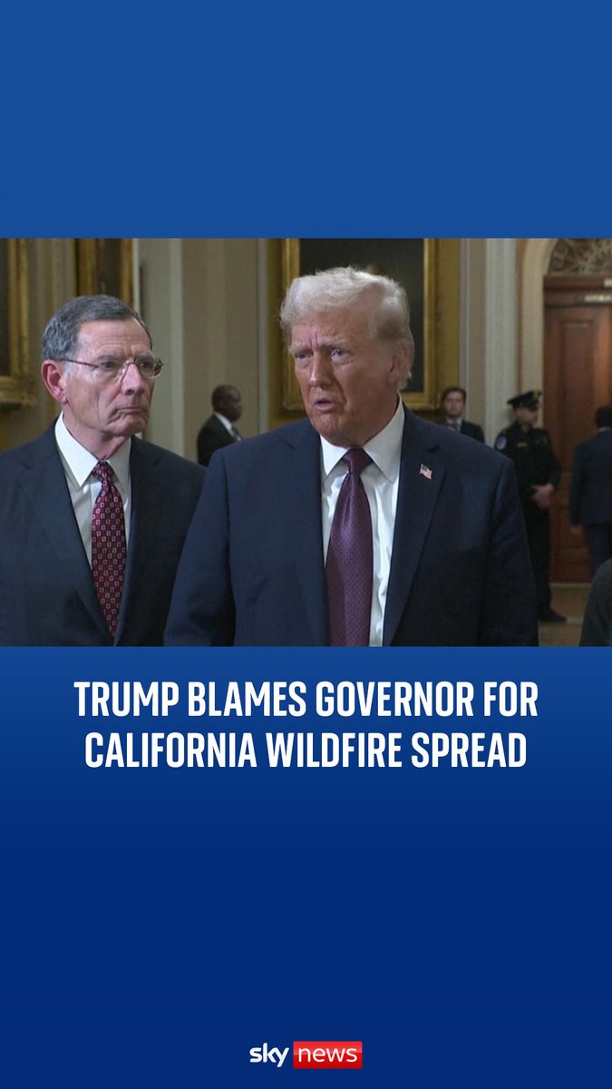 President-elect Donald Trump has claimed the governor of California has 'not done a good job' in ensuring wildfires could be tackled. A state of emergency is in place as wildfires burn in LA, fuelled by winds of up to 100mph. Wildfires latest: