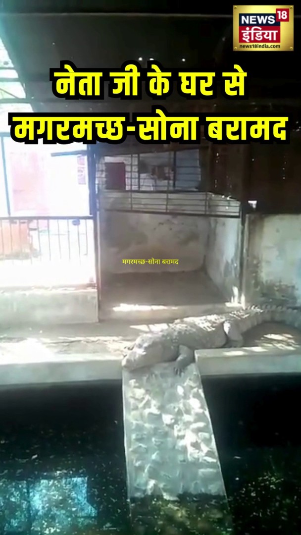 BJP के पूर्व विधायक के घर IT Raid | 14 KG सोना, 4 करोड़ कैश और तीन मगरमच्छ #Raid