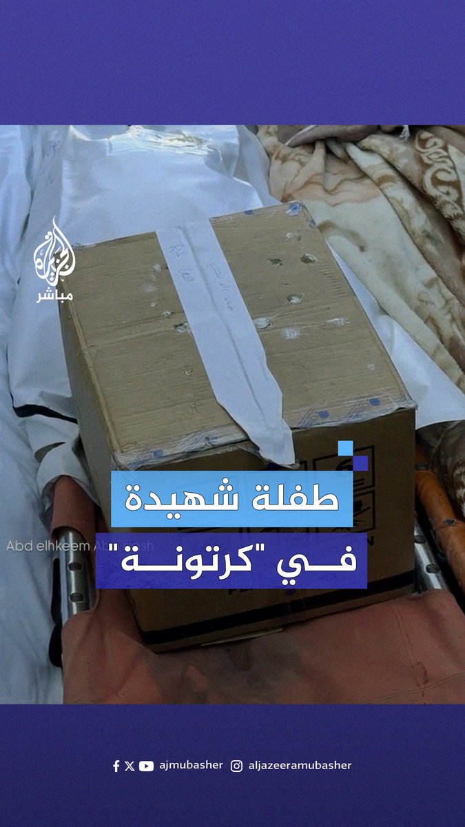 منى الدبجي طفلة شهيدة تبلغ من العمر 4 أعوام اضطر أهلها لتجميع جسدها في كرتونة بعد أن تفرق إلى أشلاء جراء قصف الاحتلال الإسرائيلي