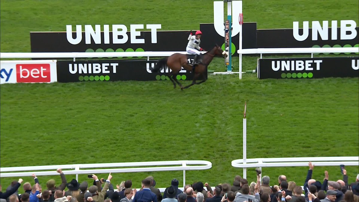 Anyone had a bet in this year’s festival handicaps yet? 🏇🏆
