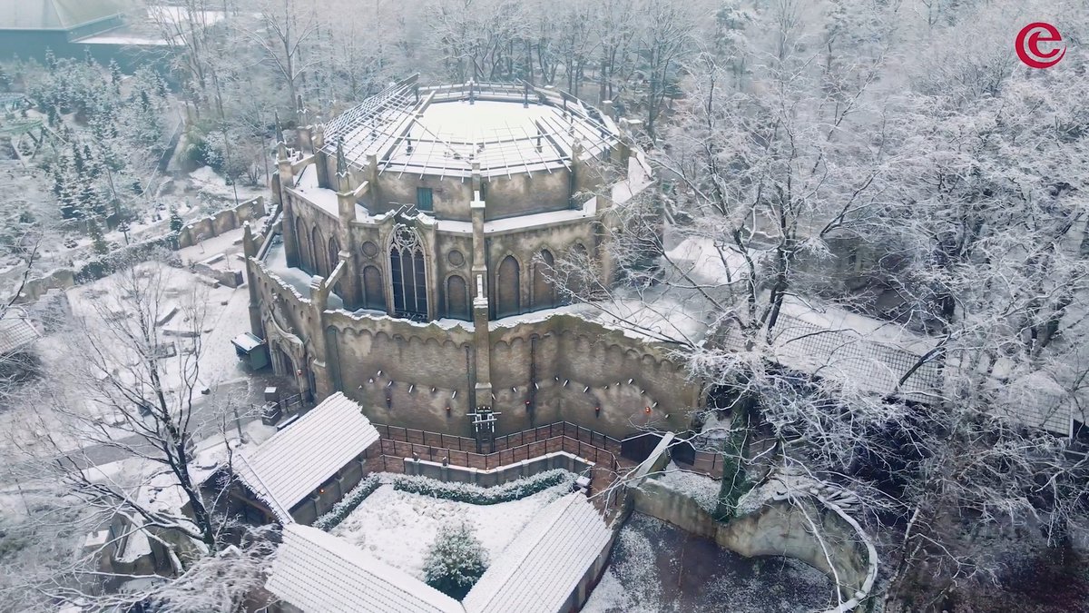 De sneeuw maakte ons park vandaag nóg prachtiger! 🥰 Vlieg met ons mee over een witte Efteling... ❄️