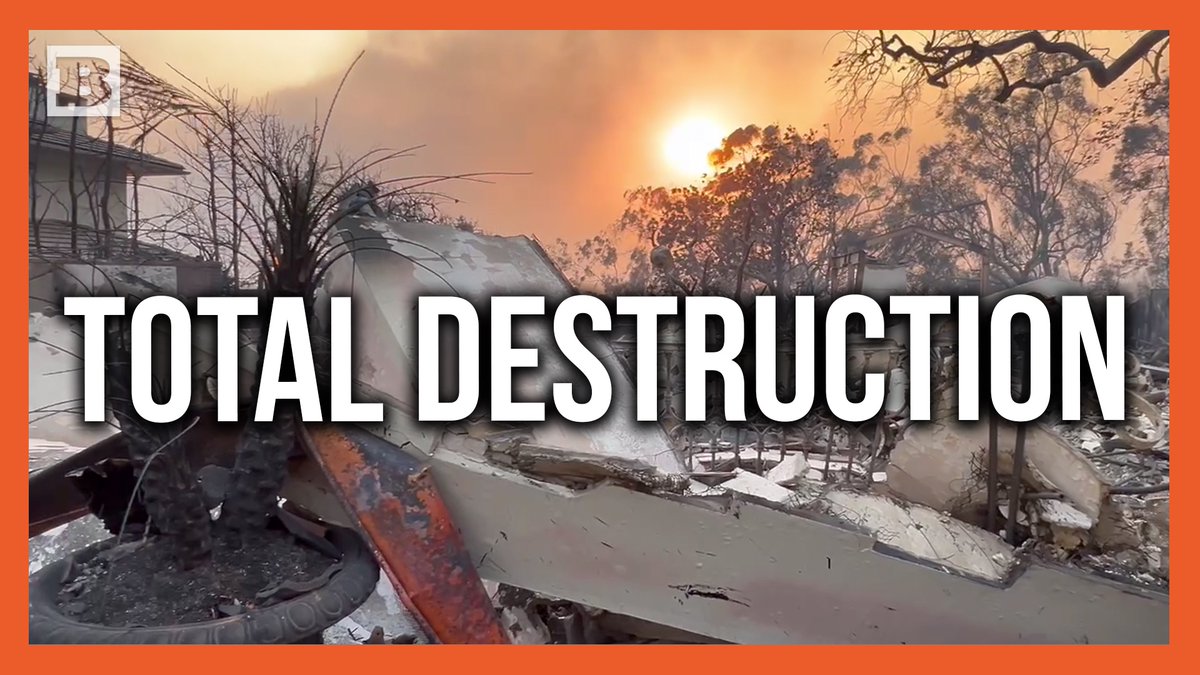 The home of actress Julia Louis-Dreyfus was destroyed completely in the Palisades fire