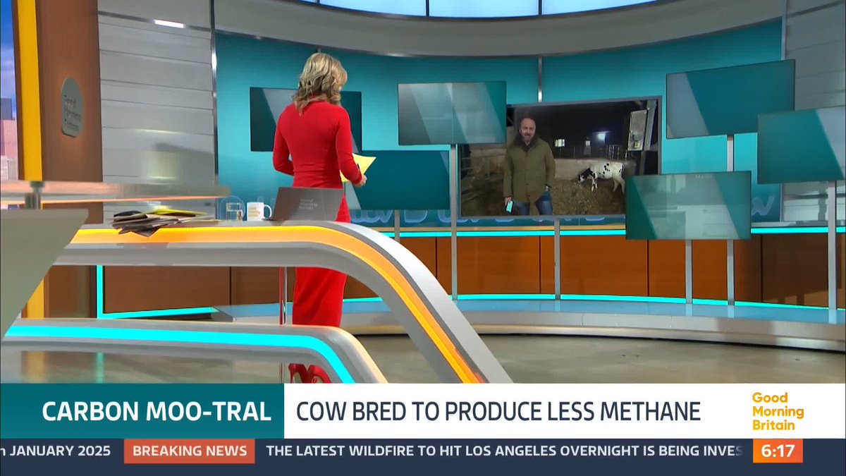 Meet Hilda. She may look like any other cow but she's an IVF calf with a difference. Her genes have been modified to help combat climate change by stopping the release of harmful greenhouse gases when she burps and breaks wind. Jonathan Swain reports.