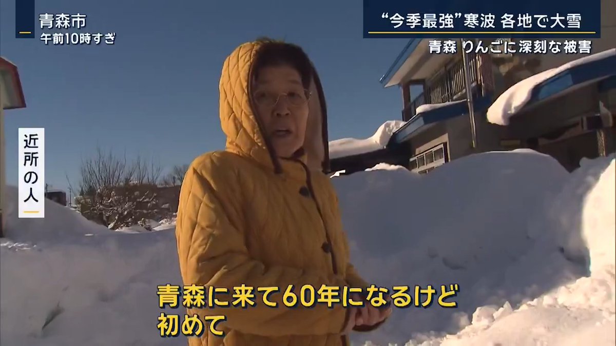 【災害級の大雪】青森では除雪・排雪が追いつかず… 青森市内の住民 「道路の除雪・排雪が入らない。60年いたけど初めて」 ▼りんごに深刻な被害 弘前市の農園では、幹が割れてしまった木も りんご農家 工藤昌弘さん 「雪が乗ったら下ろしに来たりするが、一気に今回降ったので作業が追いつかない」 「積雪量が多かった。そのあとに雨が降って、スポンジが水を吸ったような状態に。かき氷の固まったのが乗ってるような状態」 →農園全体の3割しか見回れていないものの、20本ほどの木に被害 ▼能登半島の被災地でも雪に 仮設住宅は舗装されていない場所が多く、除雪機が入れないところも。手作業での雪かきも欠かせず、住人らが総出で取り組む 谷内信子さん Q.自宅とは違うか 「自宅は私のところだけでいいもんね。ここは他の人の所も。できない人もいるから」 →国が用意した除雪機も初めて使用 宮坂 勝一さん 「仮設で集まった人たちで、みんなで共同でするしかない」