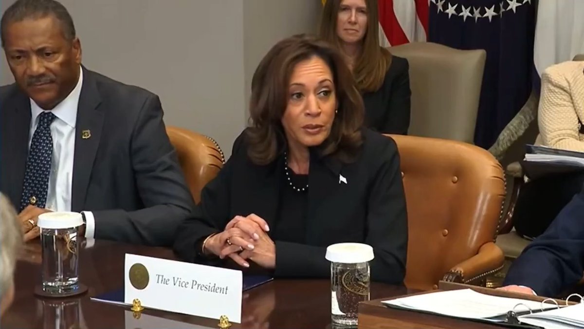 Vice President Kamala Harris called out insurance companies who canceled insurance for families impacted by the California wildfires.