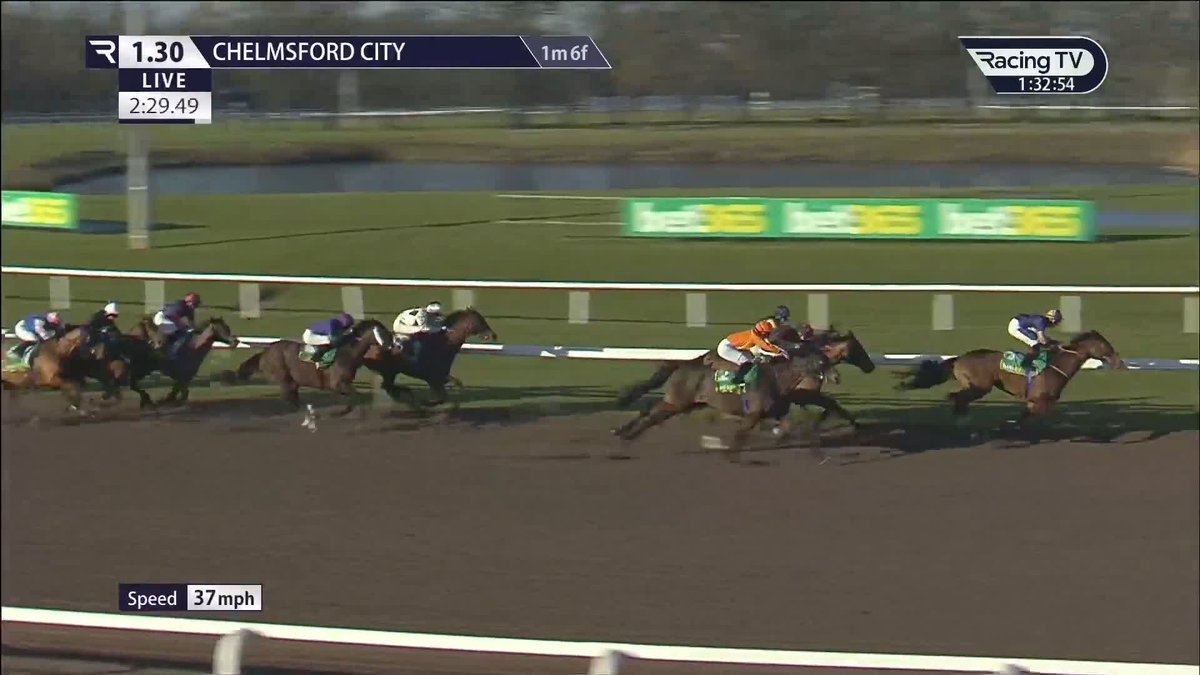 Good old Carlton completes the four-timer for James Owen Racing Chelmsford City Racecourse 👇🏻