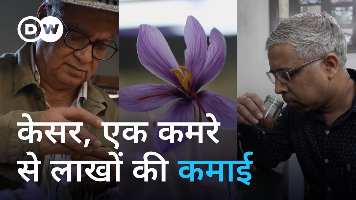 केसर दुनिया का अकेला ऐसा मसाला है जो आधे ग्राम और एक ग्राम के पैक में भी बिकता है. इसकी मांग और कीमत, दोनों ही बहुत ज्यादा हैं. और अब आप इसे अपने घर में उगा सकते हैं और अच्छी आमदनी कर सकते हैं.