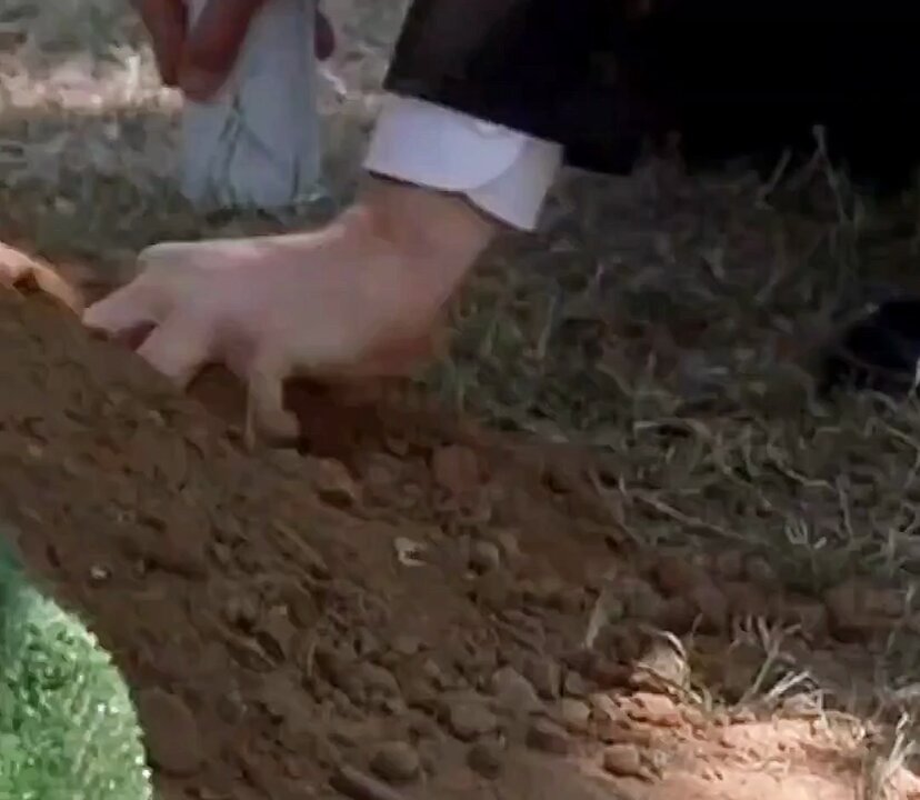 #SixFeetUnder ✗ dünyada ölümden başkası yalan