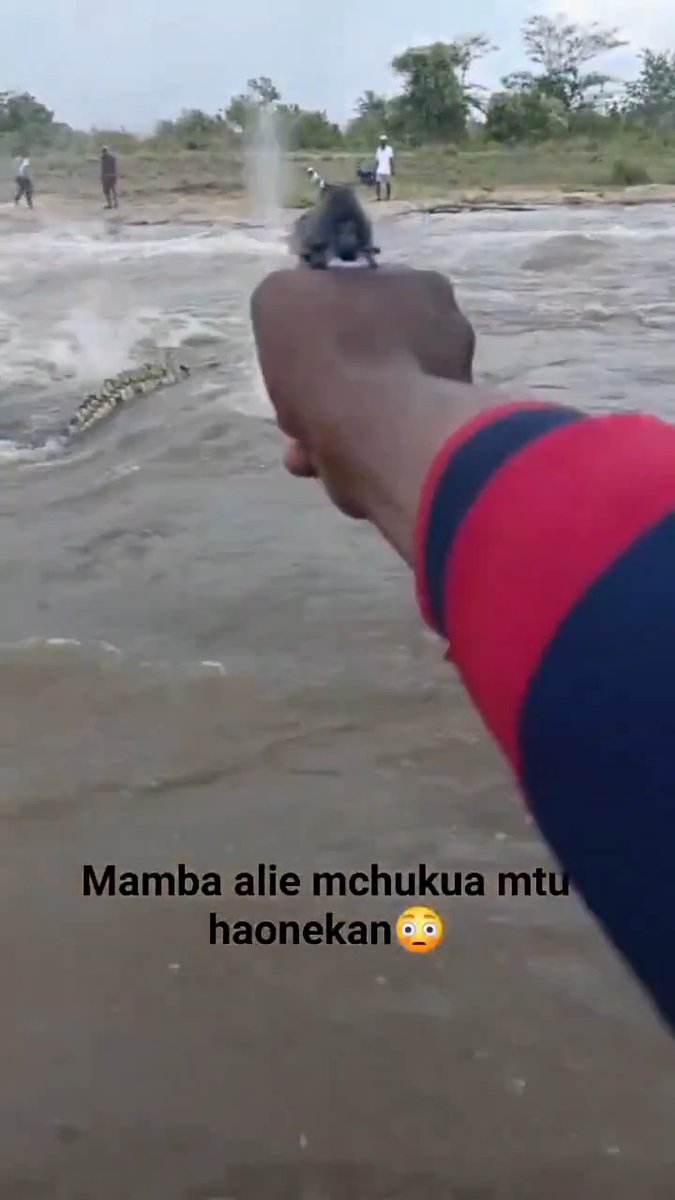 A man was attacked by a crocodile while trying to cross a river. His brave friends chased it down and killed it before it could drown him. Let’s hope he survived this terrifying ordeal