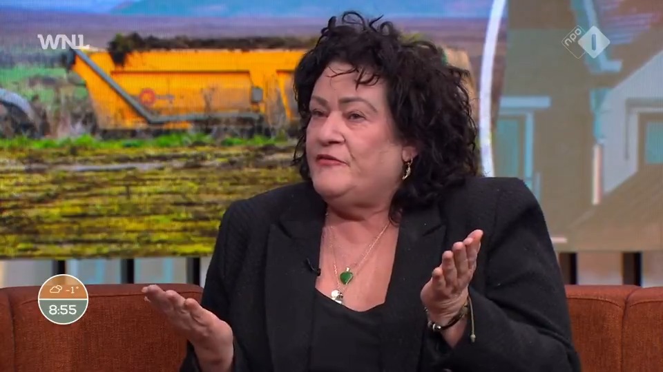 BBB-fractievoorzitter Caroline van der Plas (Caroline van der Plas) en Boris van der Ham (Boris van der Ham) worden het niet eens over de invloed van stikstofregels op de bouw. "Ga je dat nou ontkennen, wat is dat nou voor rare vraag?" #WNL