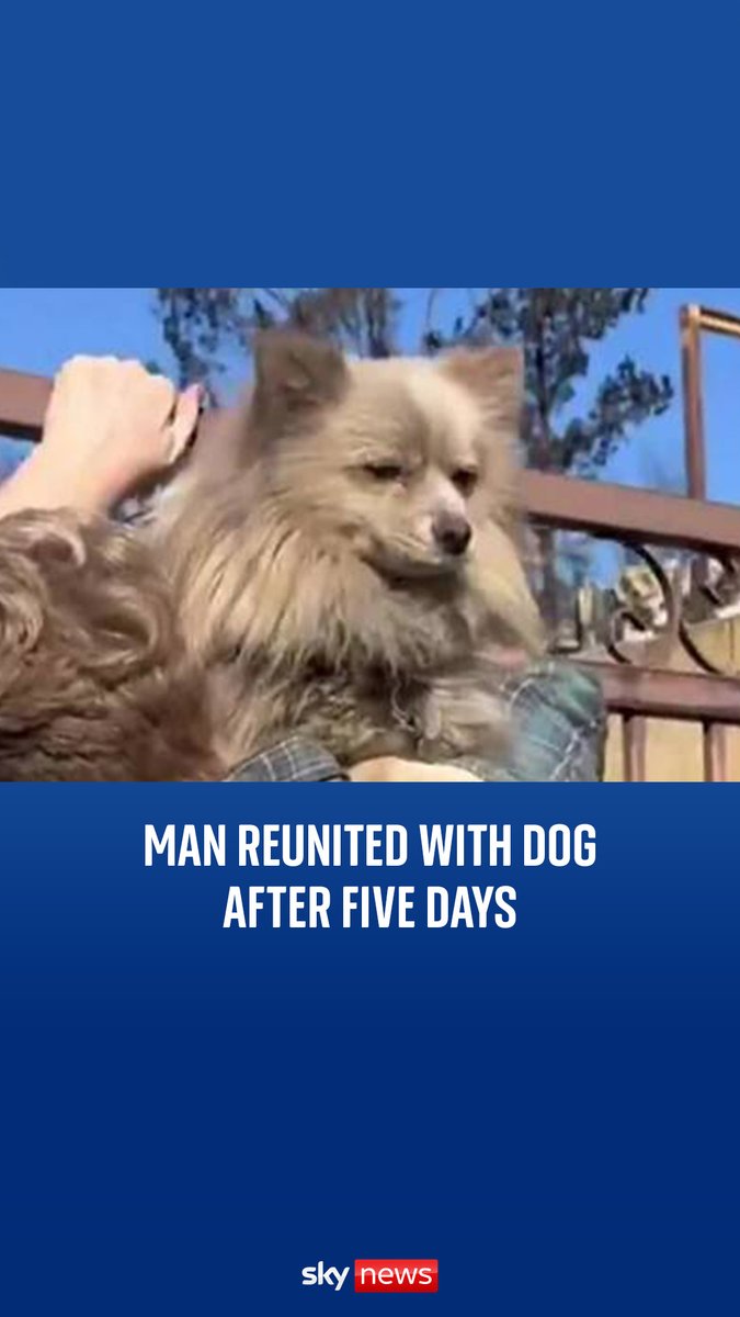 Emotional moment Palisades resident is reunited with dog after LA fires. Casey Colvin lost his home in the wildfire and went back with a TV crew five days later to see what was left. He was overjoyed when he realised his dog Oreo had survived the fire.