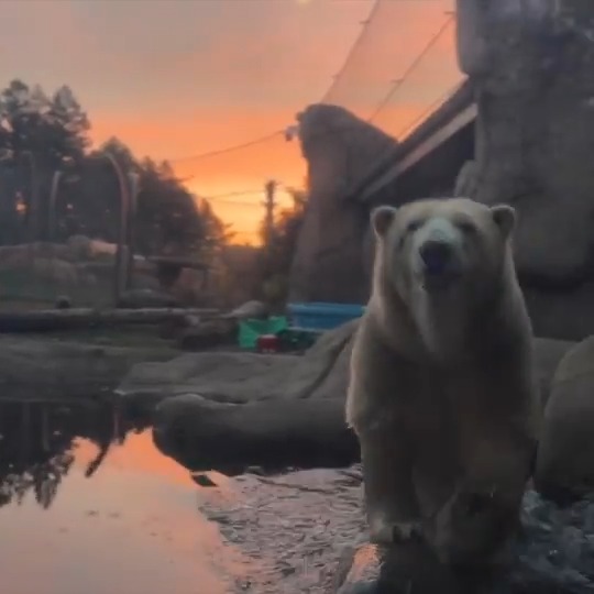 Sunrise breakfast with Amelia and Keeper Mandy 🎥 Micah Reese