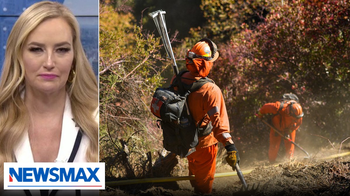 Kim Kardashian is among critics arguing that prison inmates enlisted to fight the California wildfires deserve more compensation for risking their lives. The panel discussed this and more on Tuesday's "American Agenda." Batya Ungar-Sargon Jonna Spilbor Law KATRINA SZISH