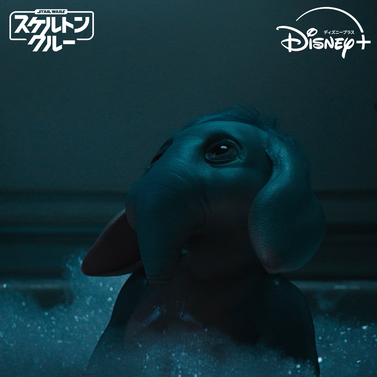 ついに完結！＜最終話＞配信開始💥 『#スターウォーズ：#スケルトンクルー』 冒険に満ちた旅の 驚くべき結末を見逃すな！ 【#スケルトンクルー僕たちの冒険記キャンペーン 実施中！】 フォロー＆本投稿リポスト または↑のハッシュタグと感想を投稿（当選率🆙） #ディズニープラス で全話配信中