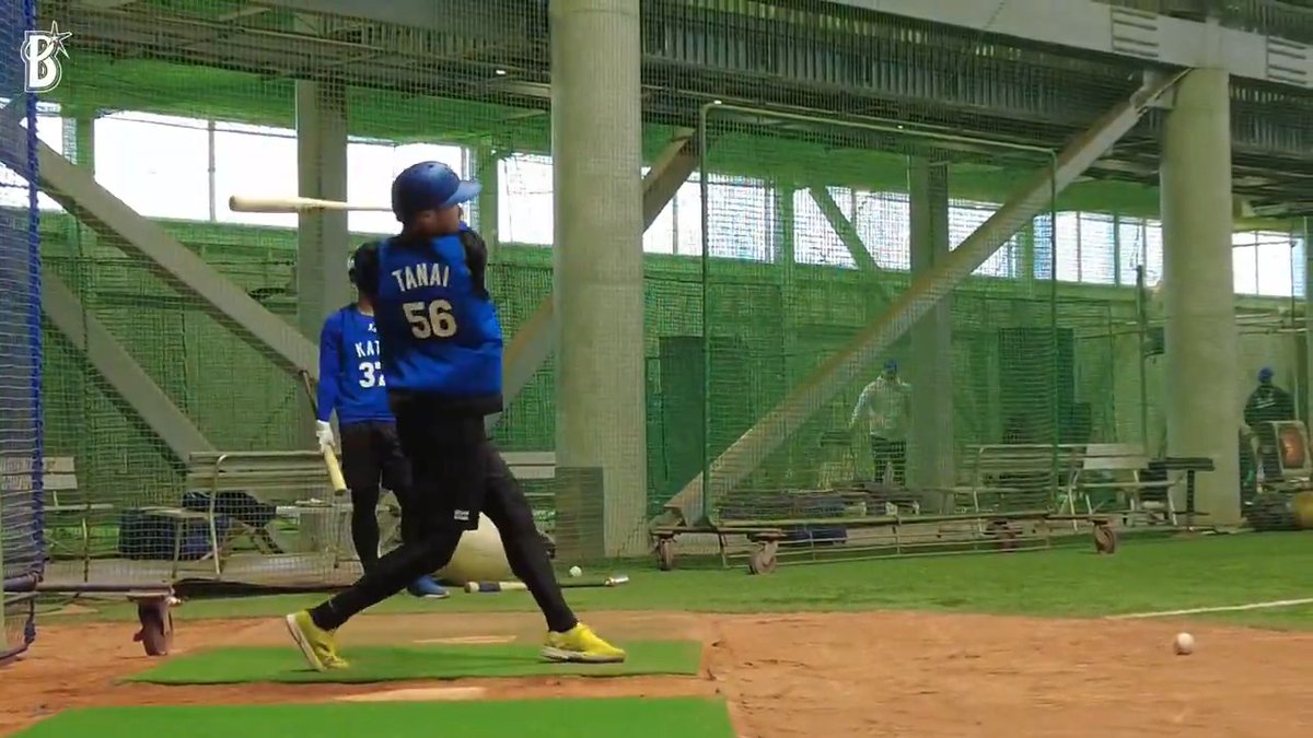 #小針大輝 選手、#田内真翔 選手、#加藤響 選手の打撃練習の様子を間近で!⚡ #新人合同自主トレ #DOCK #baystars