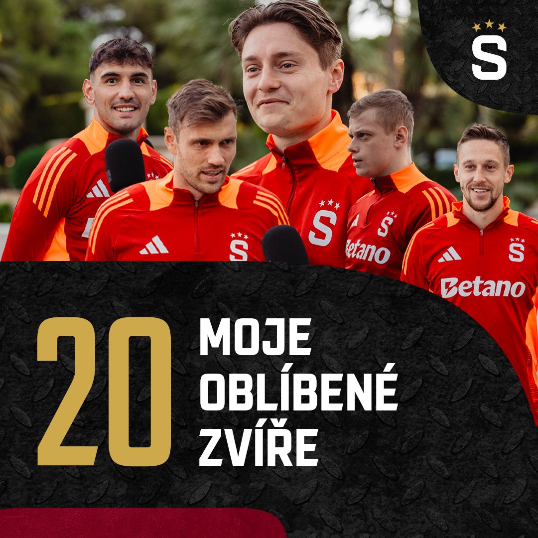 🎙️ POJĎTE K NÁM #20 | Oblíbené zvíře 🐙 Komu se líbí lenochodi, 🦥 kdo obdivuje kočkovité šelmy 🐯 a je pes opravdu nejlepším přítelem člověka? 🐩 Napište nám, kterého živočicha máte nejraději vy 😍 #acsparta ➡️