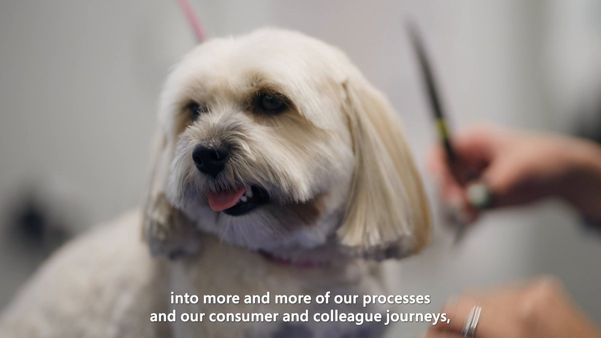 Retailers face billions in global profit loss from suspicious transactions. @PetsatHome used Copilot Studio to create an AI agent that detects unusual transactions, compiles case files, and flags them for investigation—unlocking potential seven-figure savings.