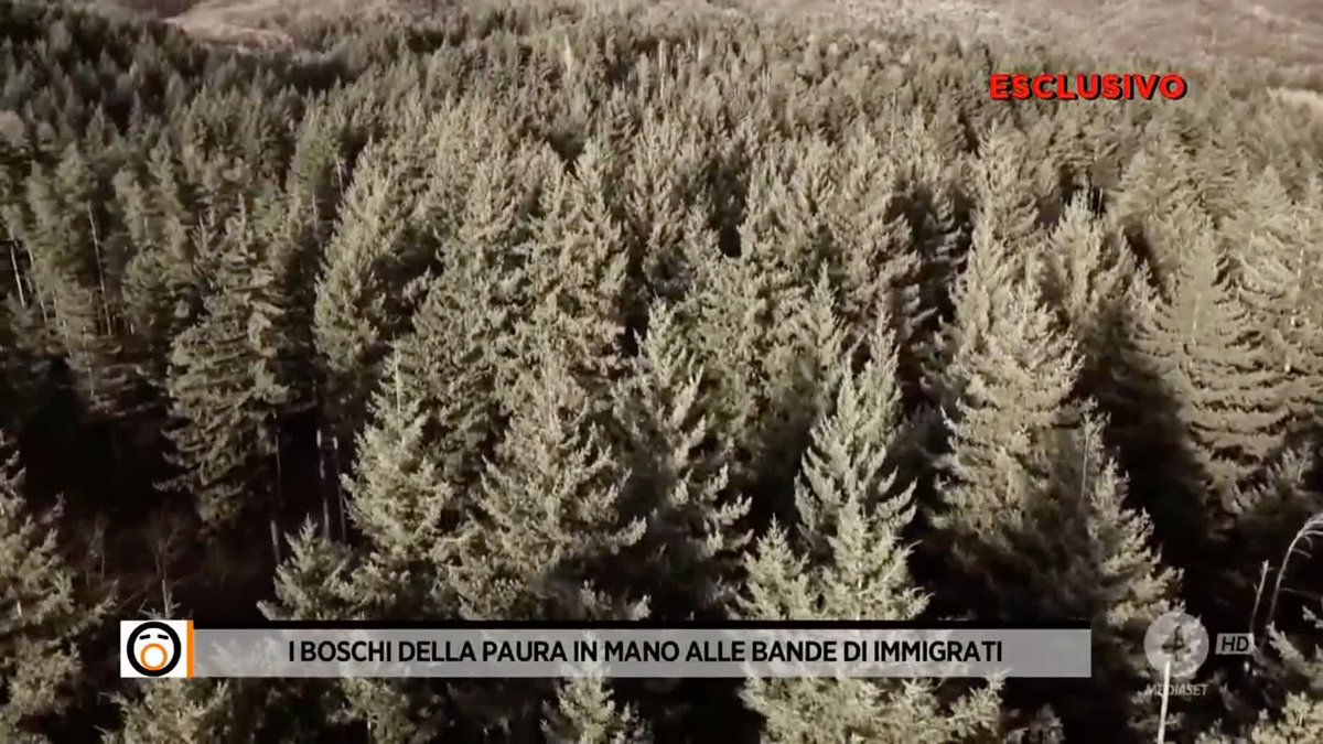 Il racconto delle violenze nei boschi della paura in mano alle bande di immigrati. In #Lombardia. Il servizio di Eugenia Fiore a #Fuoridalcoro è su Mediaset Infinity