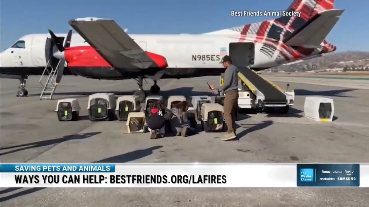 As wildfires continue to threaten Southern California, Best Friends is one of the organizations helping some of the most vulnerable victims of the fires. Chief Mission Officer Holly Sizemore joined us to discuss efforts to save pets and animals: