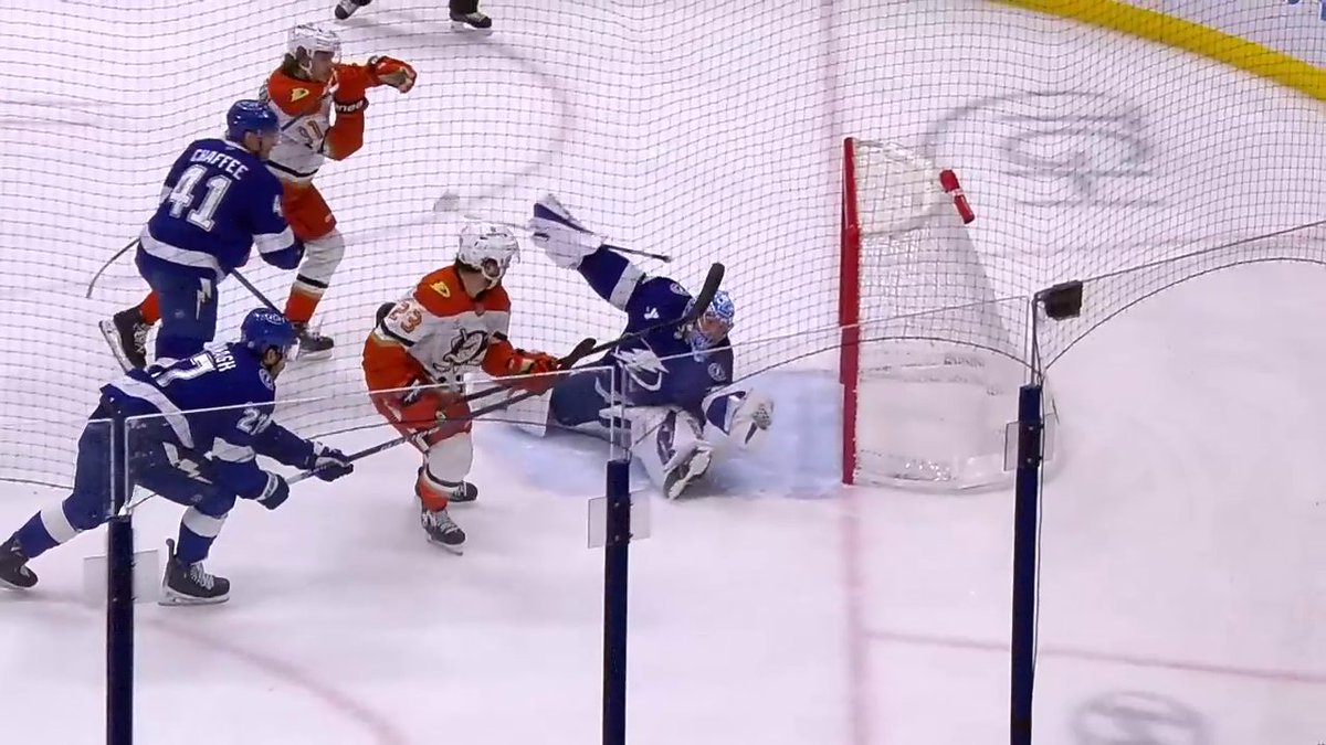 Vasy doing Vasy things!! 🦁