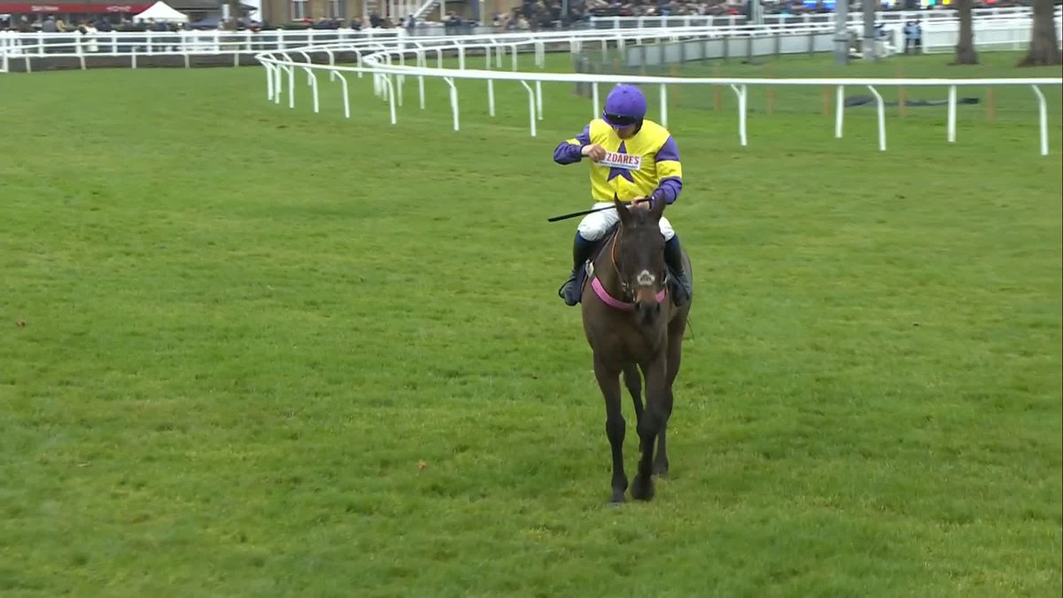 What did you make of that Langer Dan performance? ๐ค The panel give their thoughts... #ITVRacing | Oli Bell | Tom Scudamore | Alice Plunkett