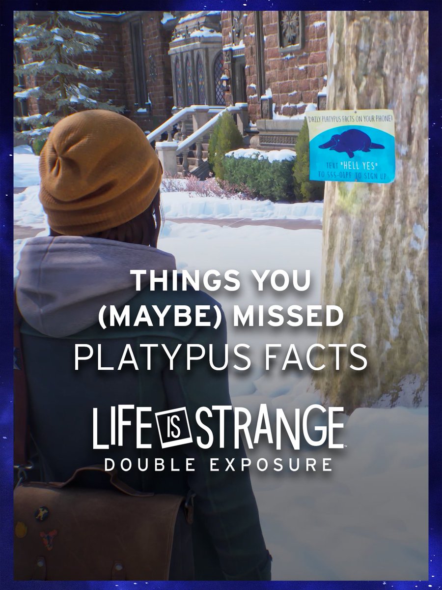 Who could possibly resist platypus facts? 🦆🦫🥚