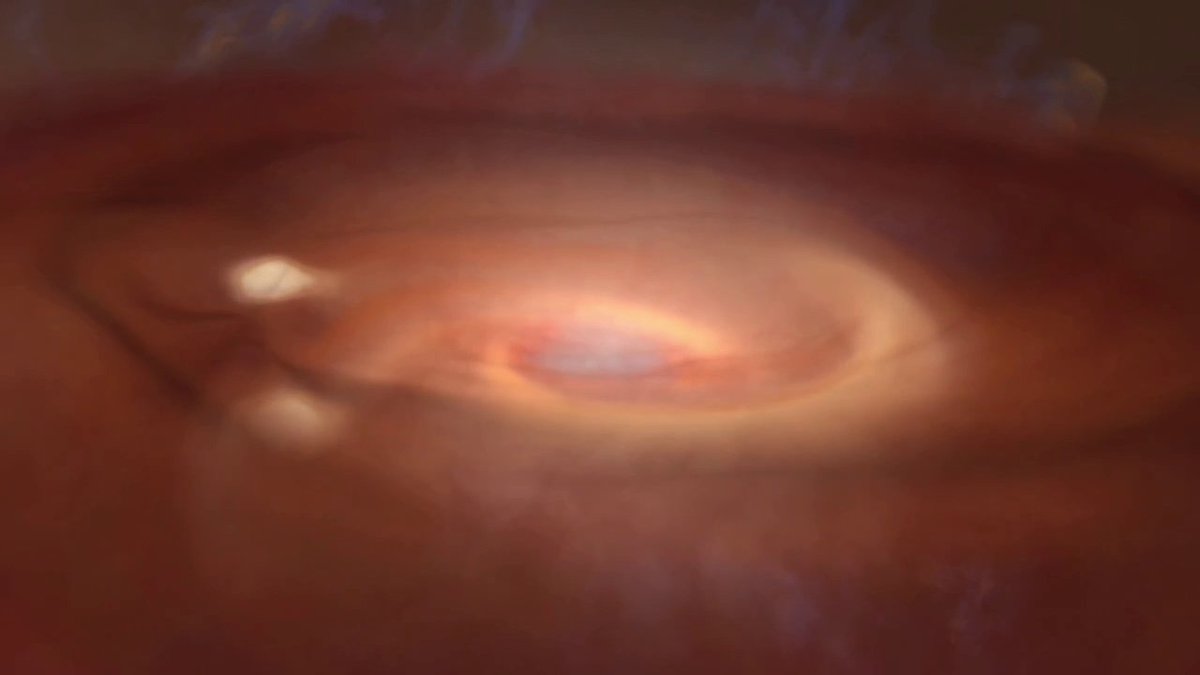 16,000 year evolution 🌌 A computer simulation shows a turbulent molecular cloud and rotating disk of dense gas around a young star. Under the force of gravity, the disk collapses, forming spiral arms and clumps, which could result in the formation of planets or brown dwarfs.