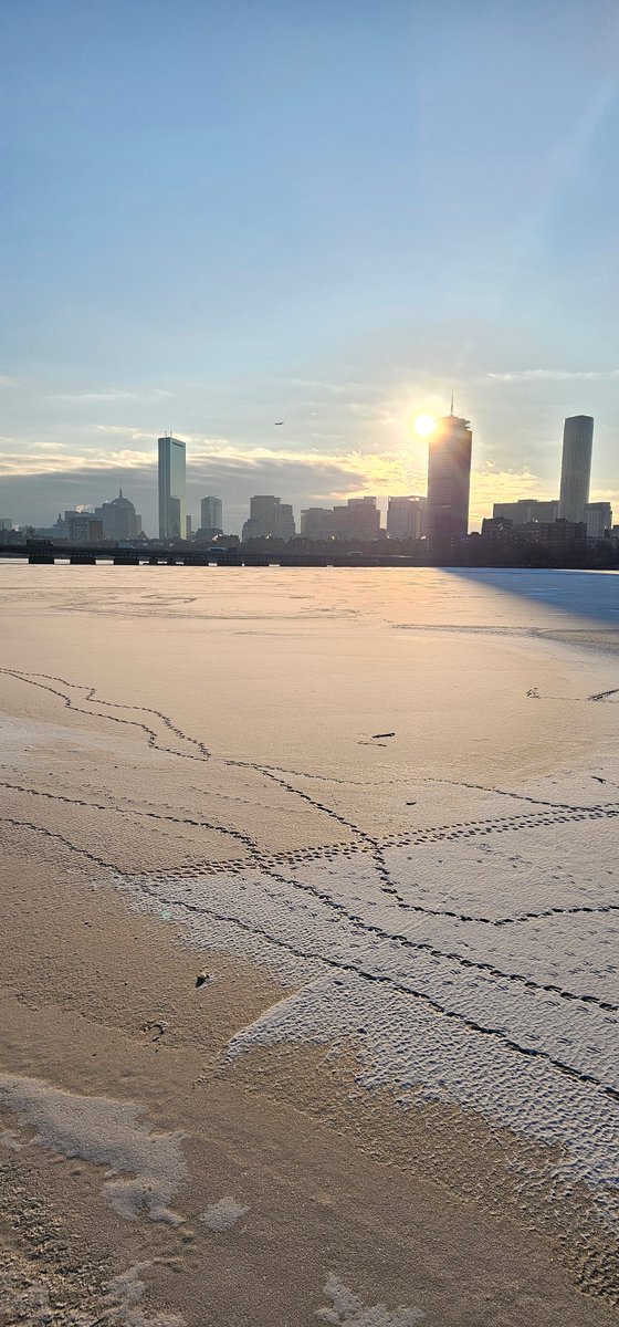 Boston has turned into a tundra. 🤍
