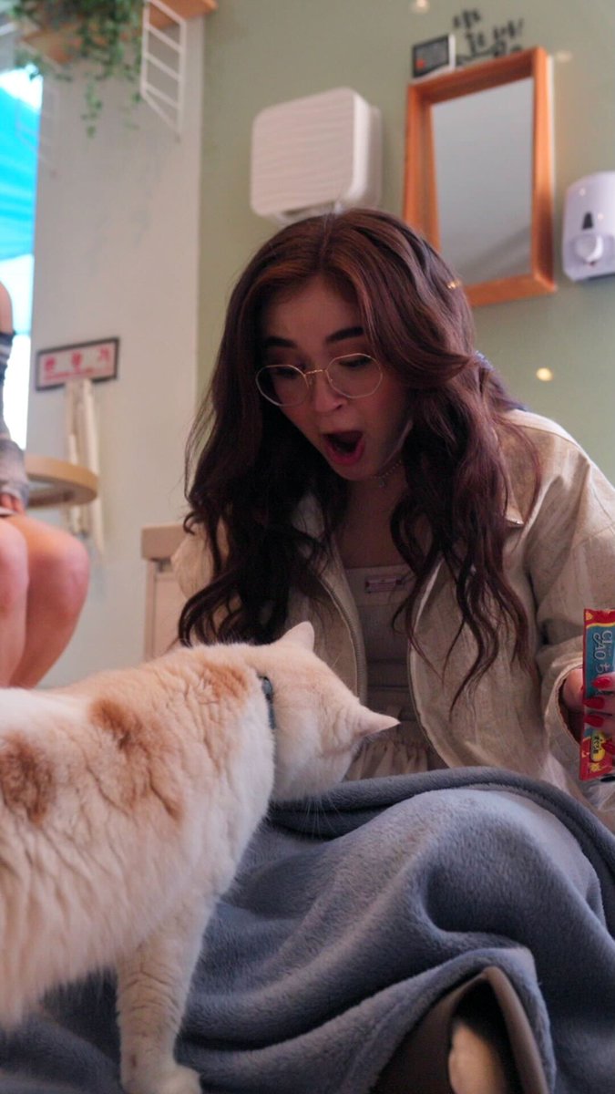 For cuteness overload, watch the XO, Kitty cast visit a cat cafe in Seoul ๐