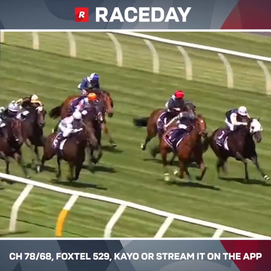 Major Share hangs on by a nose in a thrilling finish to continue his strong run of form with six wins from eight races 🔥 Adam Chambers Tom Madden