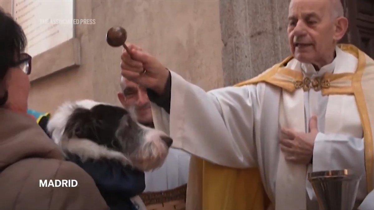 Watch: The ceremony took place on the steps outside the Saint Anthony Church in central Madrid where dogs and cats waited patiently to be sprinkled with holy water.