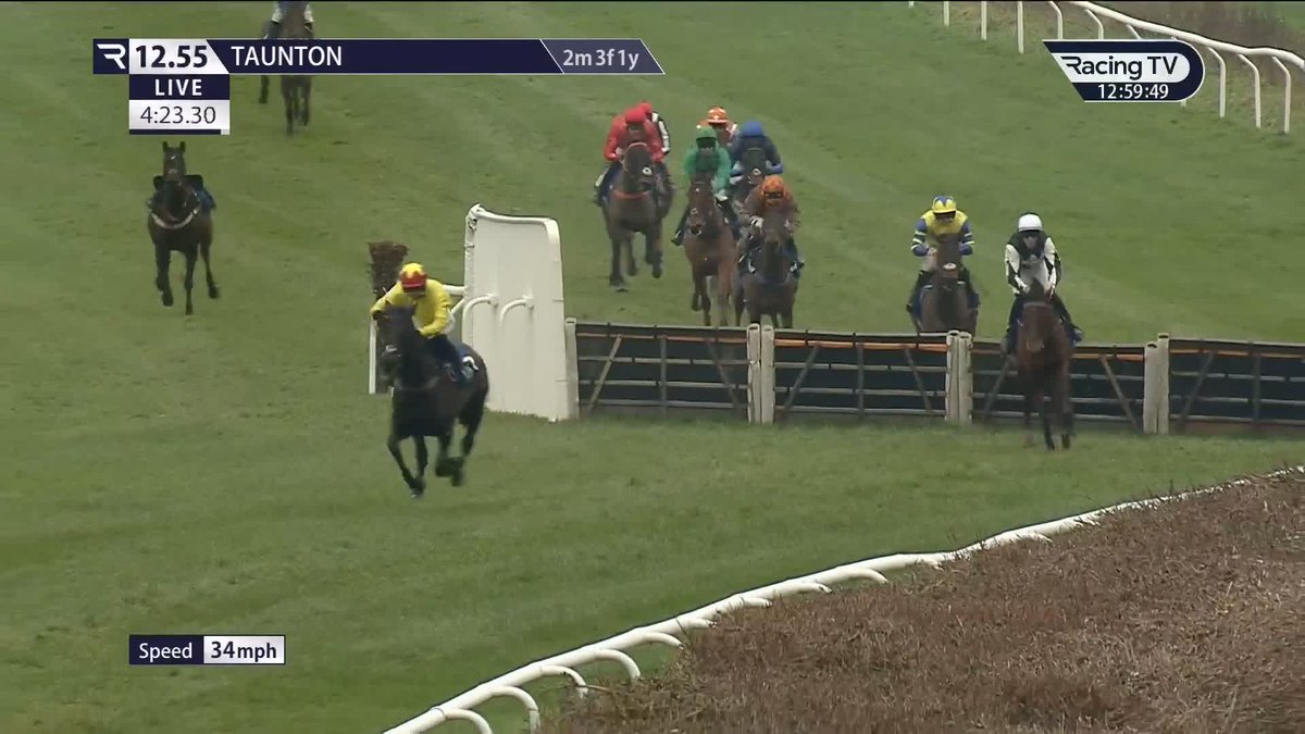 Oh, hello .... ๐ Six-year-old point-to-point winner ๐๐ฎ๐ฌ๐ญ ๐ ๐๐จ๐ฌ๐ blossoms on her Rules debut Taunton Racecourse & Conference Centre ๐น๐น๐น Paul Nicholls OBE | freddie gingell
