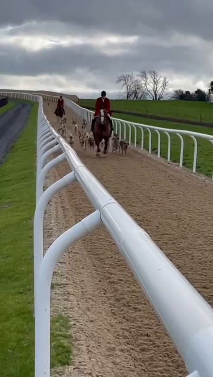 Nice to have the Kildare Fox Hounds at Grangeclare Stud today before the hunt to use our new gallop Tadhg Dooley