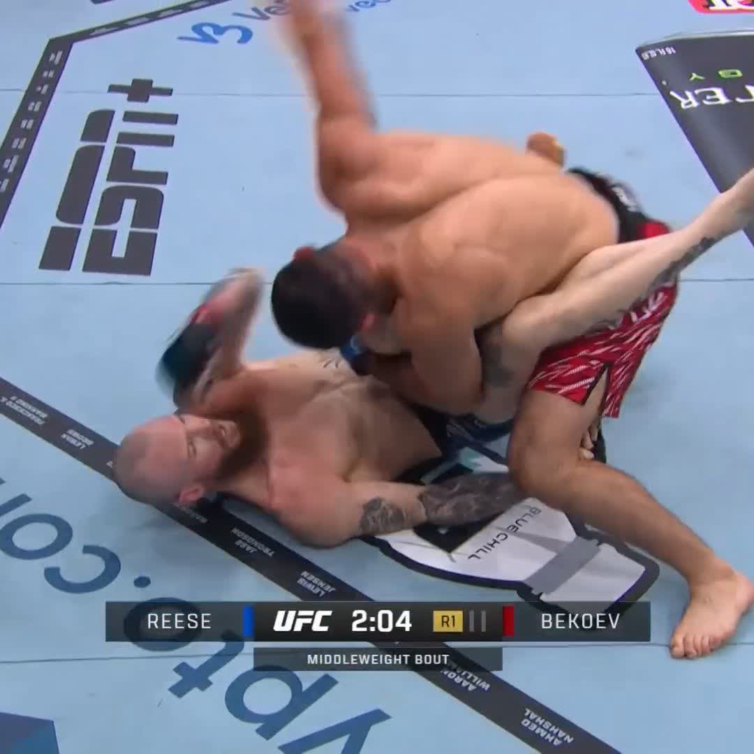 🚨🚨🚨 AZAMAT BEKOEV ÉTEINT ZACHARY REESE AVEC UN ÉNORME GROUND AND POUND 😱 L'OSSÈTE EST UN MONSTRE ! #UFC311